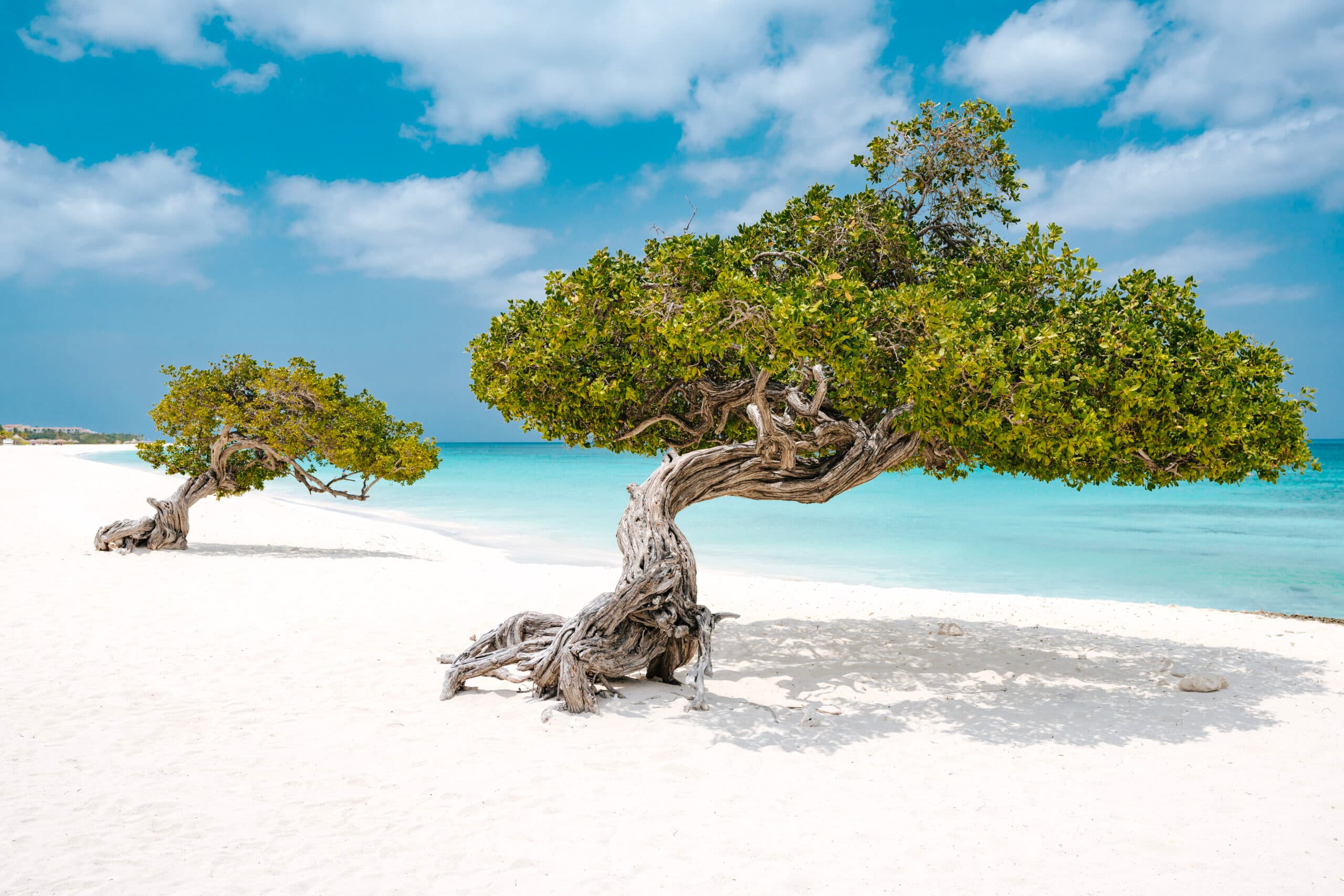 Eagle Beach