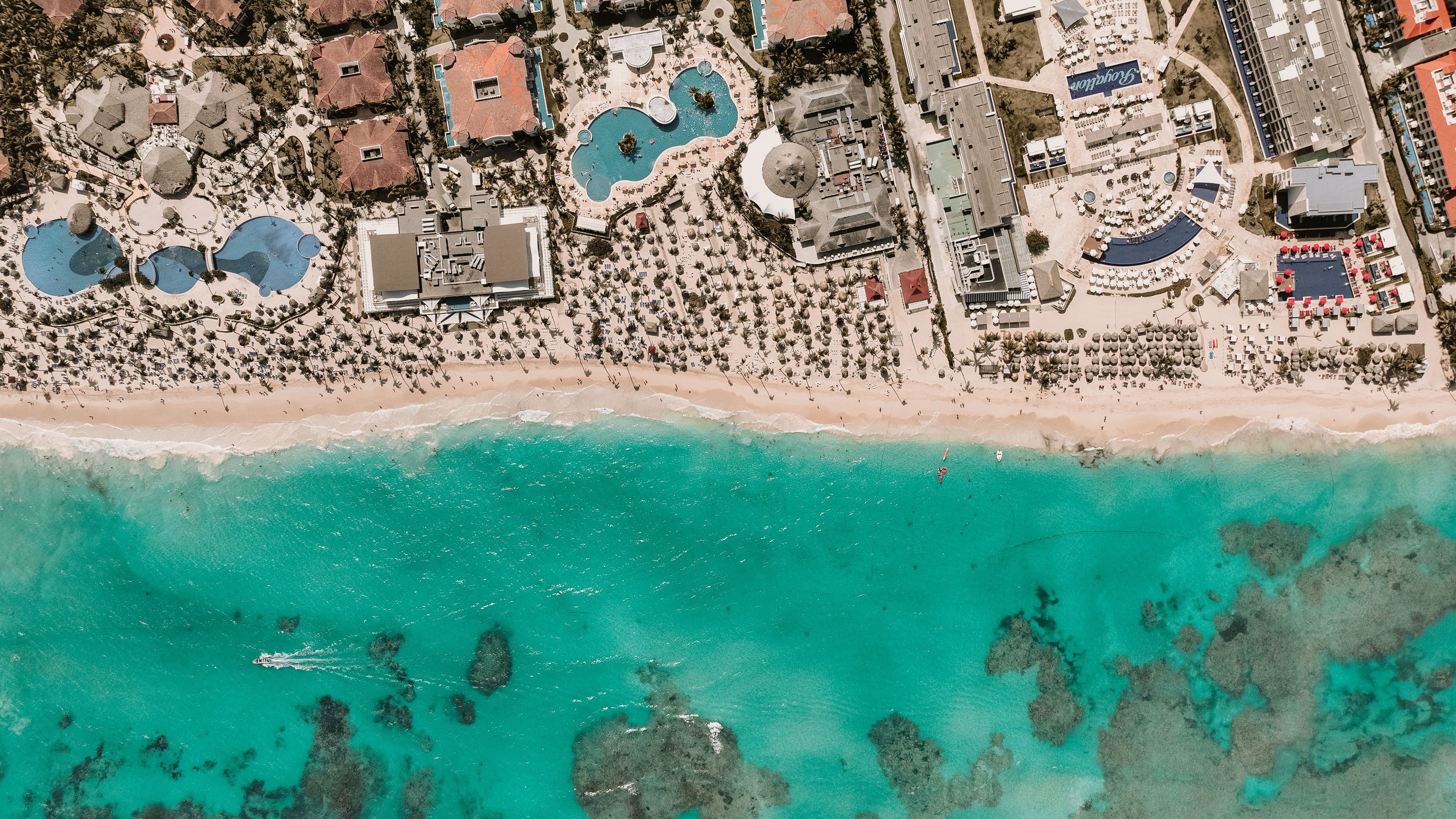 Playa caribeña con agua turquesa y palmeras
