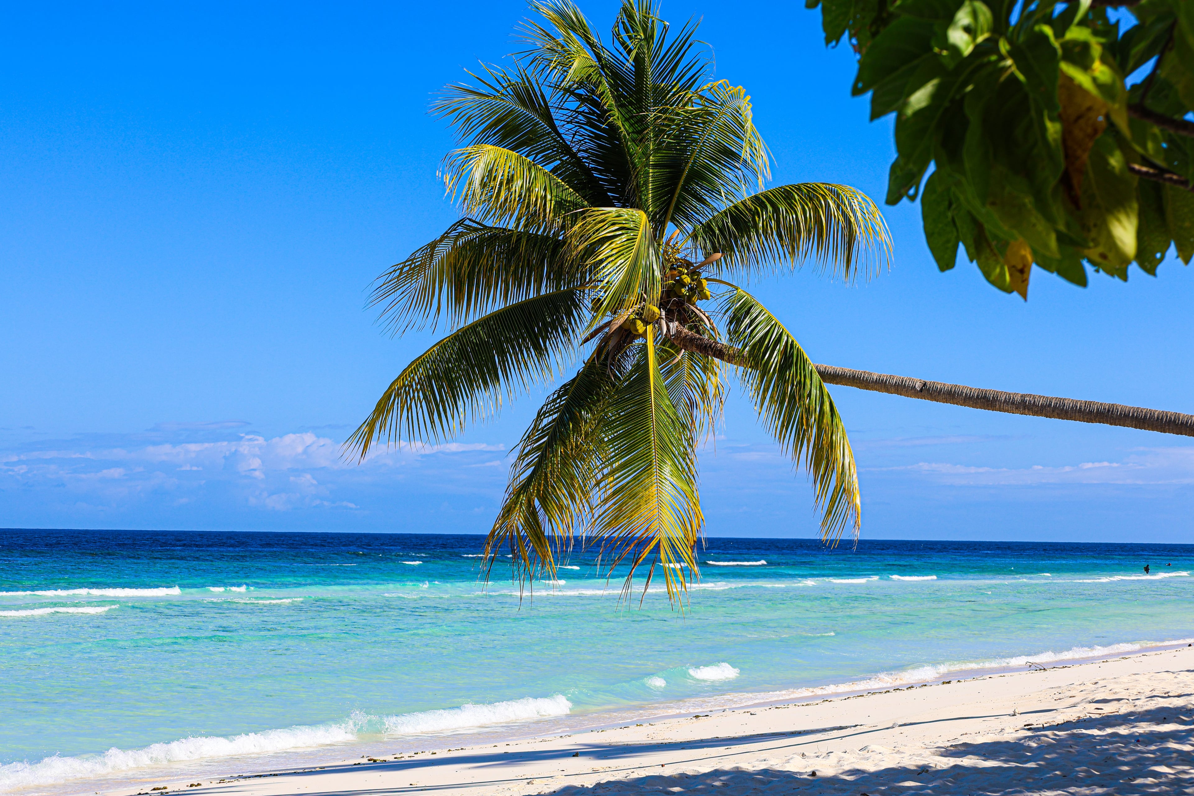 Jamaica